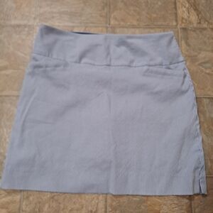 Blue Striped Women's Skirt